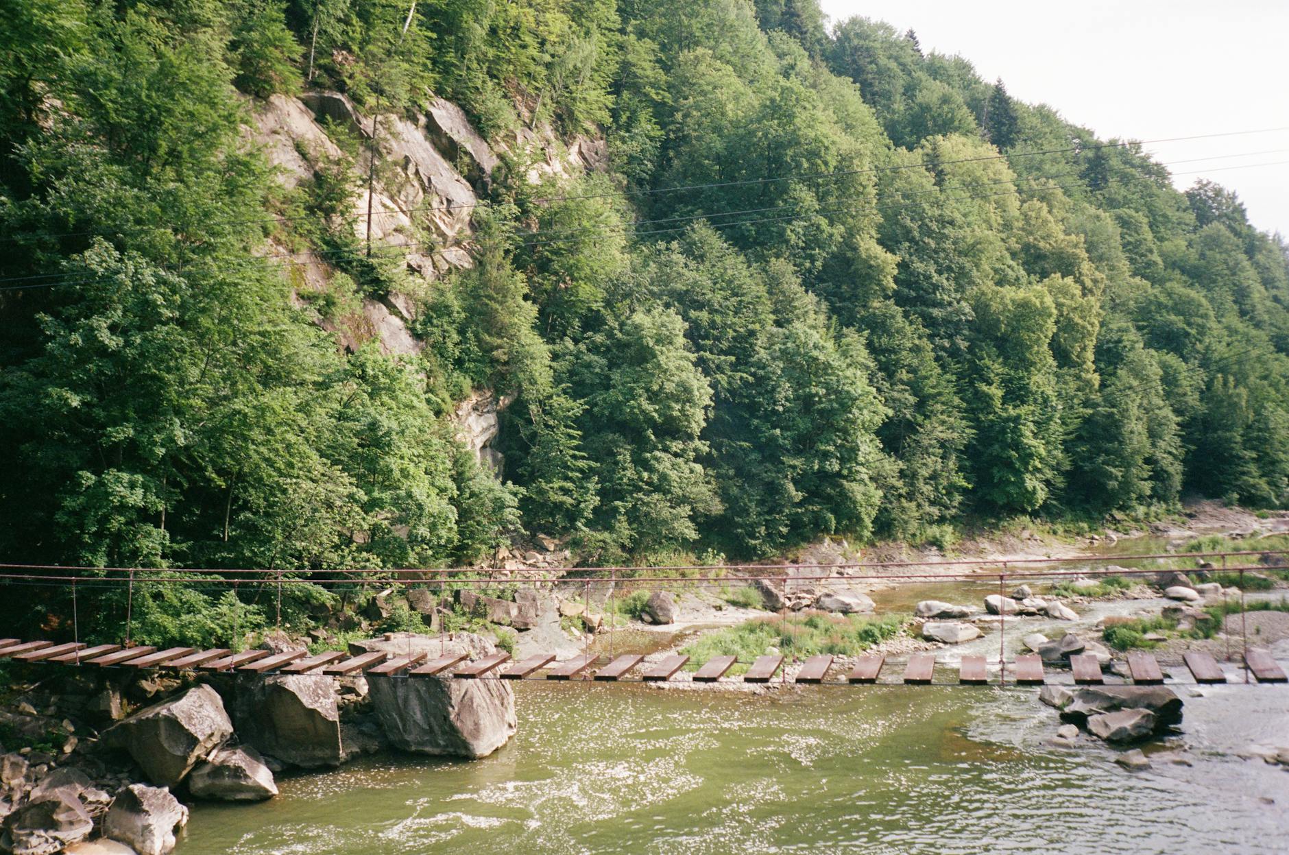 Drewniany most nad rzeką w zielonych Karpatach latem